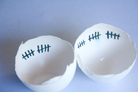 Egg Counting photo