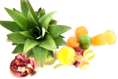 Exotic focus fruit juice