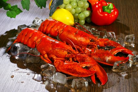 Fresh Lobsters photo