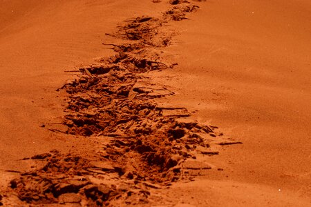 Footsteps sand orange sand photo
