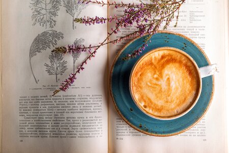 Cappuccino Coffee & Vintage Book photo