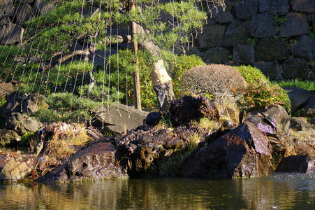 8 Hibiya Park