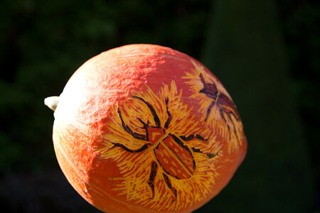 Piece of Art on a Pumpkin photo