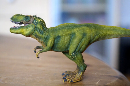 Toy Dinosaur Model photo