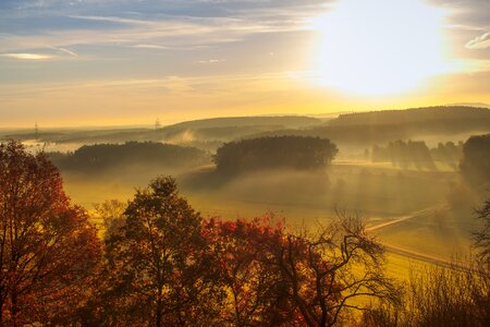 Morgenrot nature trees photo