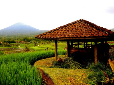 Agriculture architecture barn