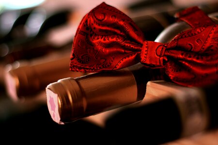 Red Wine with Bow photo