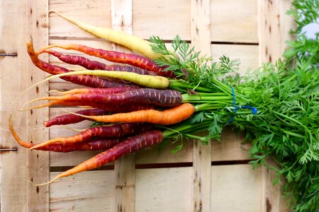 Organic Carrots photo