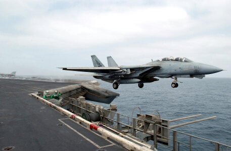 An F-14B Tomcat from the Pukin Dogs of Fighter Squadron photo