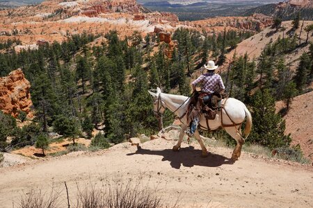 National park united states landscape