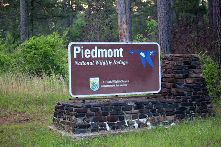 Entrance sign at the Piedmont National Wildlife Refuge photo
