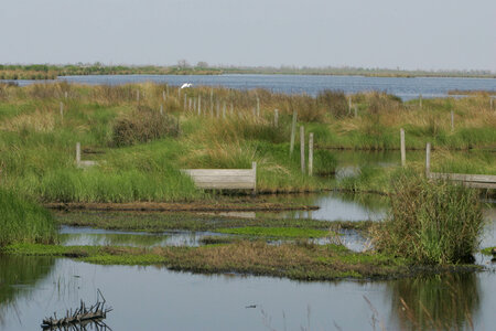 Closer view of sediment fencing photo
