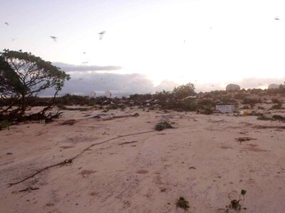 Island tsunami photo