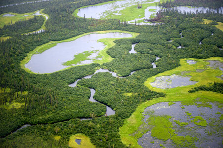 Ponds and Marshes in the Kobuk River Region