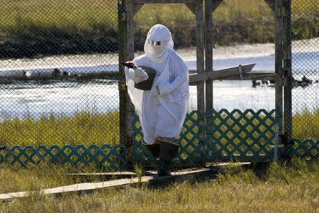 Whooping crane reintroduction facility-1 photo