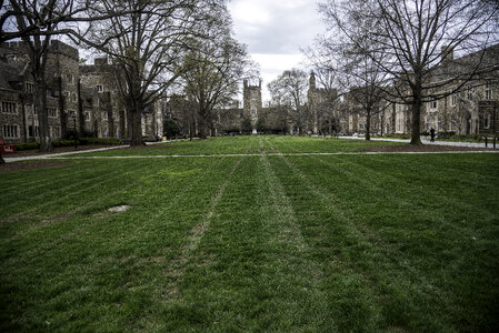 Lawn and Grass of the Duke Quad with the Chapel in the distance in Durham, North Carolina photo
