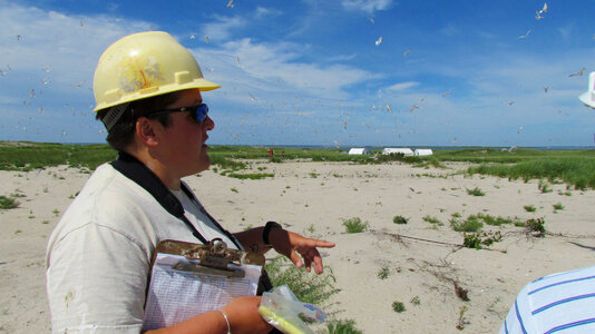 Thousands of terns fly over a refuge biologist as she interprets the landscape