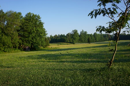 Green pasture with blue sky photo