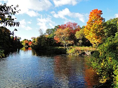 River autumn shoreline photo