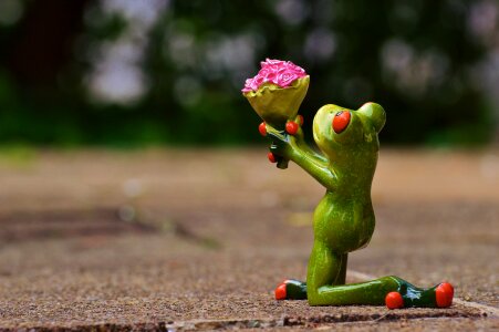 Frog :Will you marry me? photo
