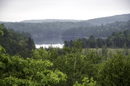Lake landscape on a foggy day in Algonquin Provincial Park, Ontario photo