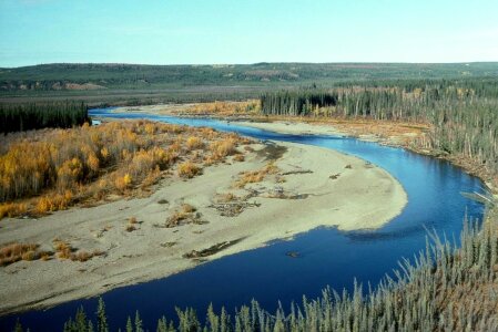 Beaver brook 