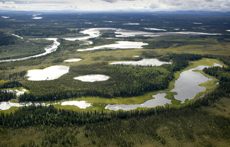 Aerial view of lakes and ponds surronded by forest at Tetlin National Wildlife Refuge