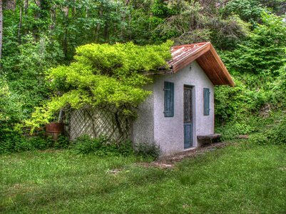 Trees scene green house