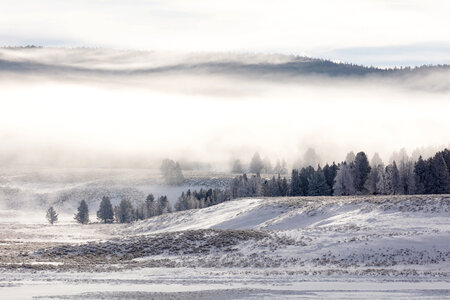 Fog and frost in Hayden Valley photo