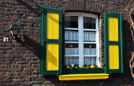 Yellow green age