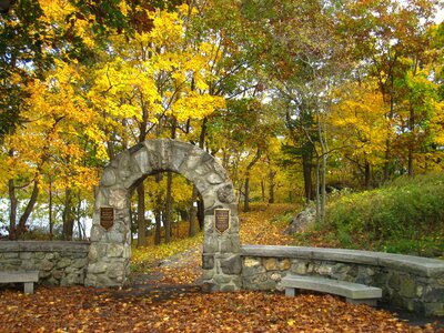 Military landscape forest