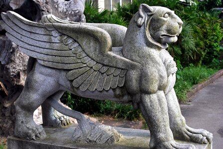 Bird lion animal