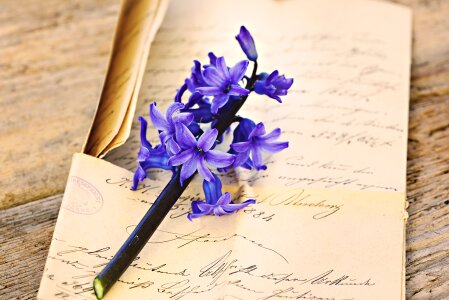 Blue flowers fragrant photo