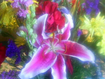 Assortment flowers lily