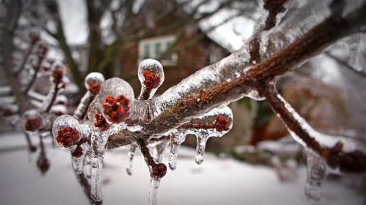 Winter bad weather conditions toronto photo