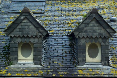 Roofing slate windows photo