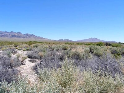 Desert environment 