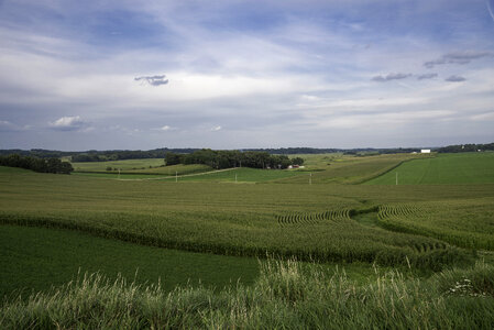 Farms and rows of crops under skies in Wisconsin photo