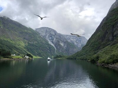 Cruise Ship foggy lakeside photo