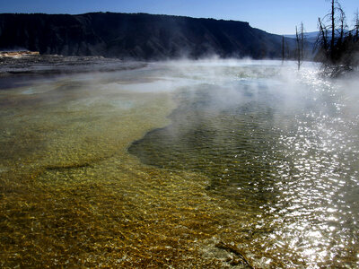 Hot Springs in Yellowstone National Park, Wyoming photo