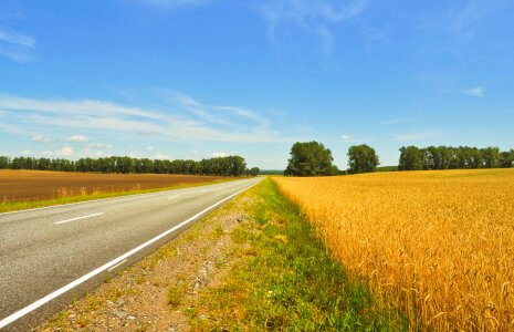 Landscape nature road
