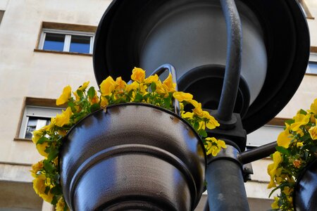 Lamp outdoor flower