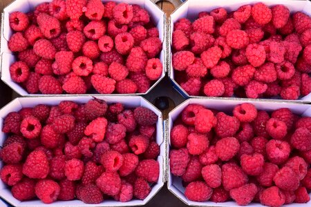 Alternative berry bowl