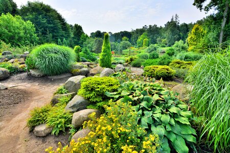 Garden Dendrologiczny in Przelewice Poland