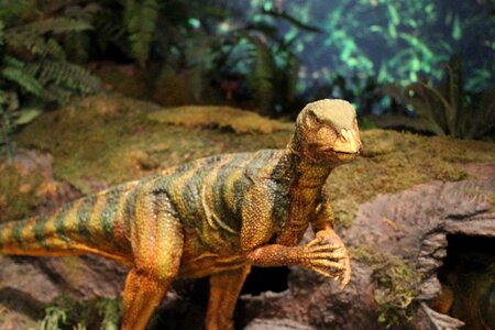 Jurassic reptile brown dinosaur