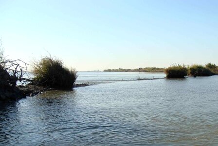 Delta island liberty