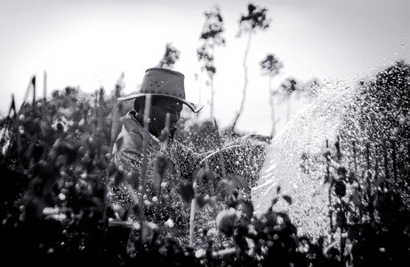 Agriculture black and white field