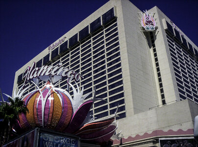 The flamingo hotel and casino in Las Vegas, Nevada photo