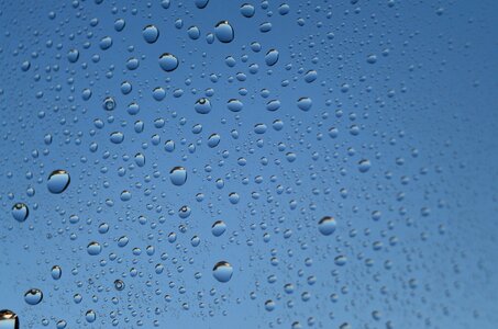 Rain wet raindrop photo