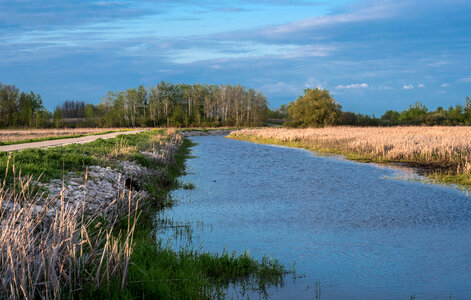 Channel at Horicon Marsh photo